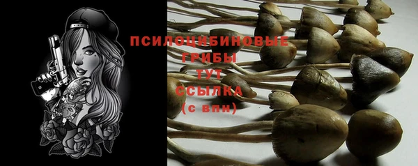 спайс Балабаново