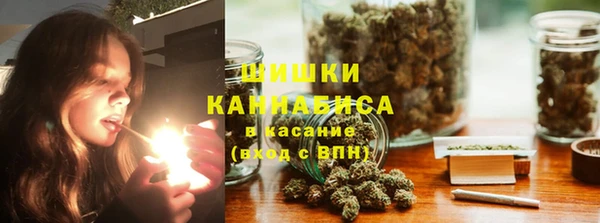 ГАЛЛЮЦИНОГЕННЫЕ ГРИБЫ Балахна
