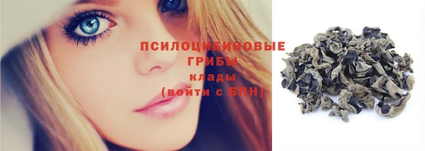 ГАЛЛЮЦИНОГЕННЫЕ ГРИБЫ Балахна