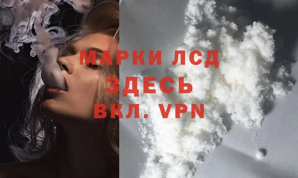 ГАЛЛЮЦИНОГЕННЫЕ ГРИБЫ Балахна